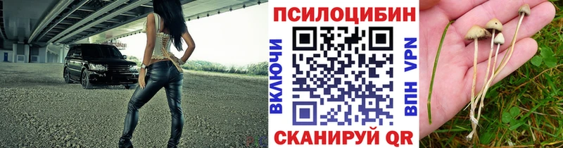 наркошоп  Северо-Курильск  Галлюциногенные грибы прущие грибы 